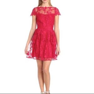 Cynthia Steffe Red Lace Cocktail Dress